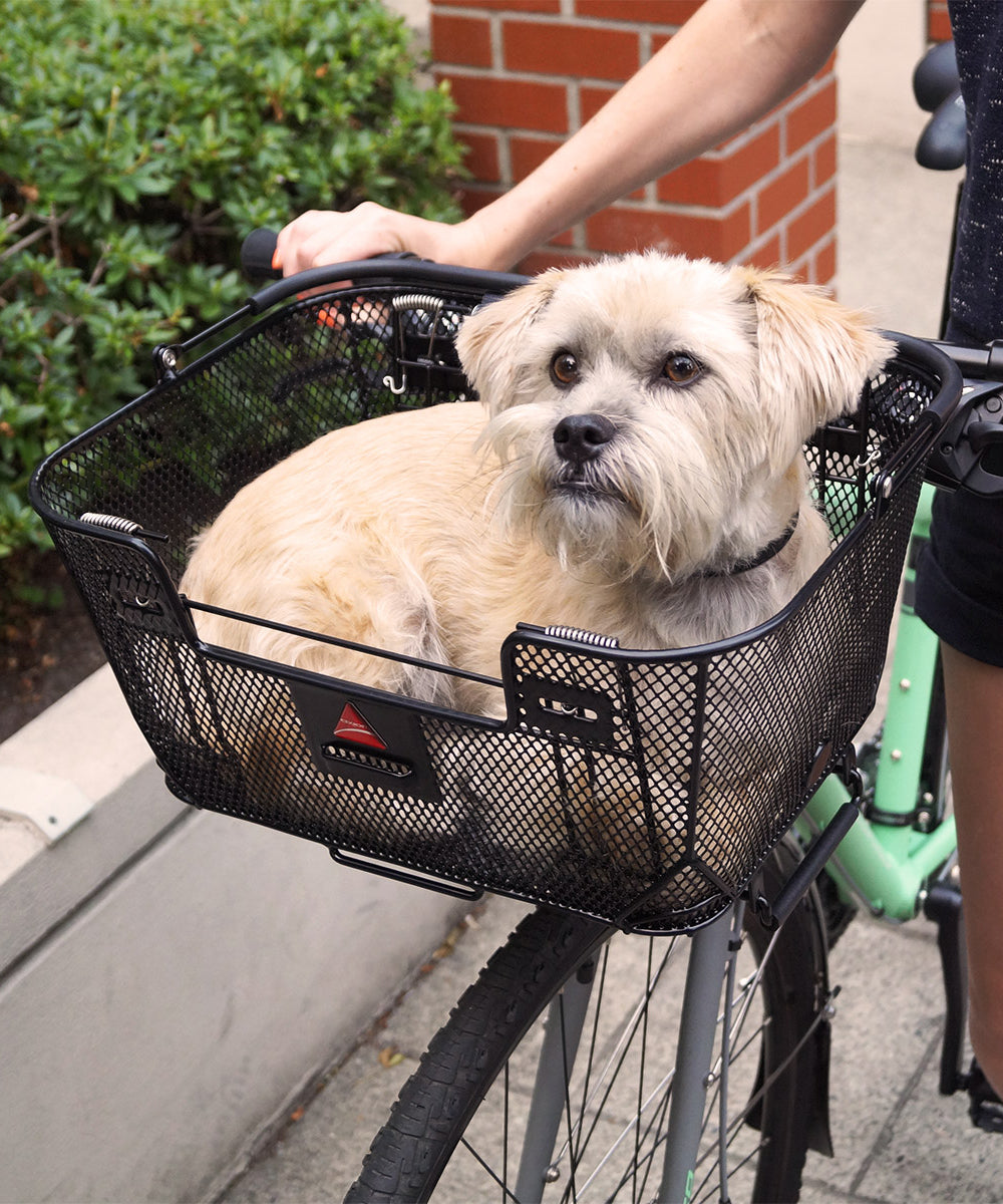 QR Dual Function Premium Pet Basket - Image 3