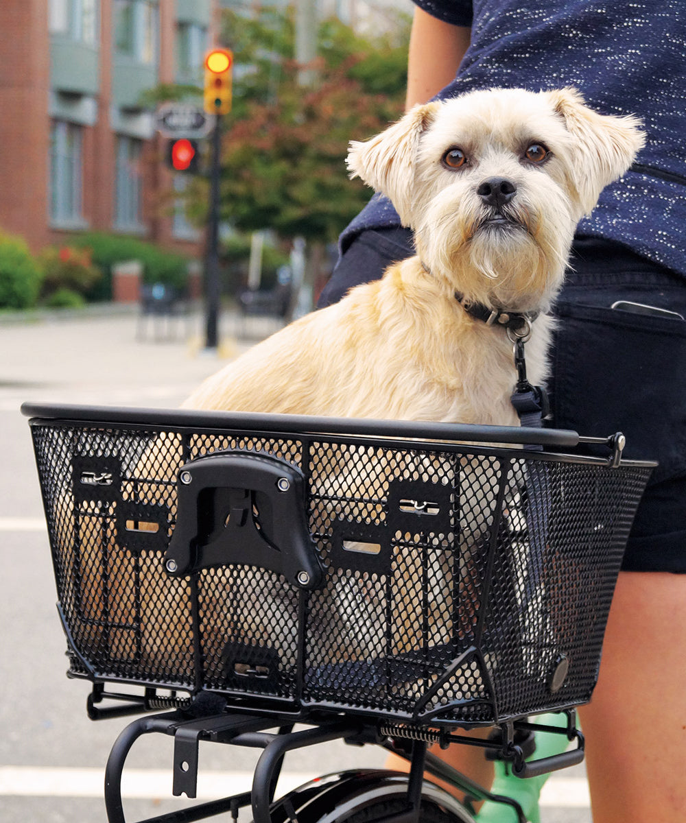 QR Dual Function Premium Pet Basket - Image 5