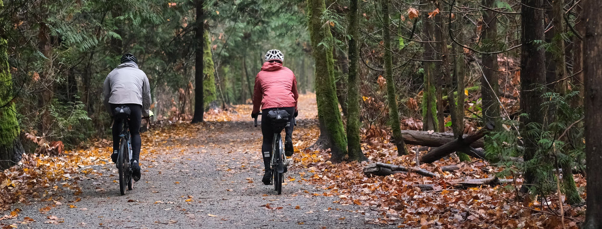 Background imagePrivacy Policy