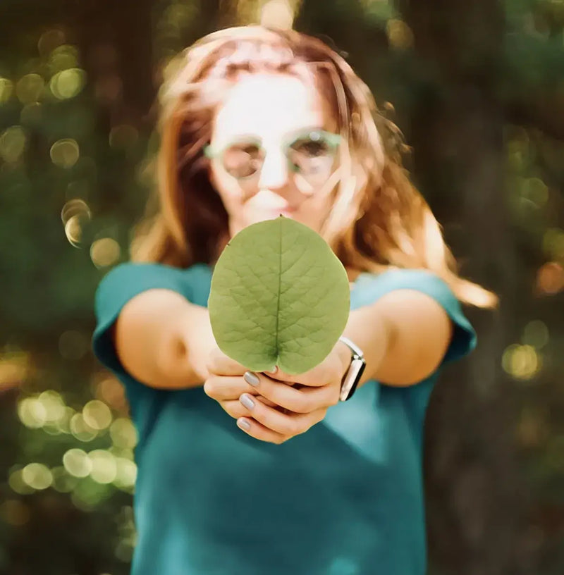 Person holding a leaf